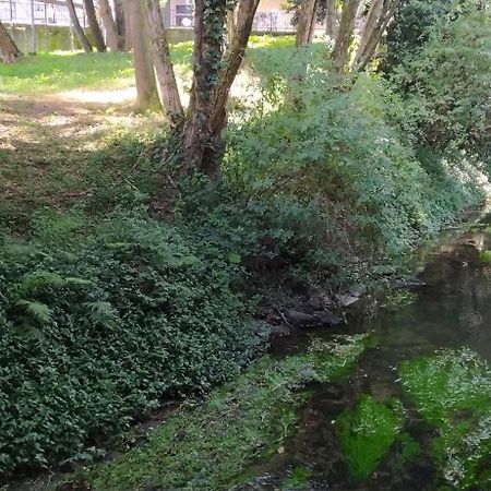 Moderno Y Luminoso 2 Dormitorios Con Todas Las Comodidades En Pontevedra Ciudad Exteriör bild
