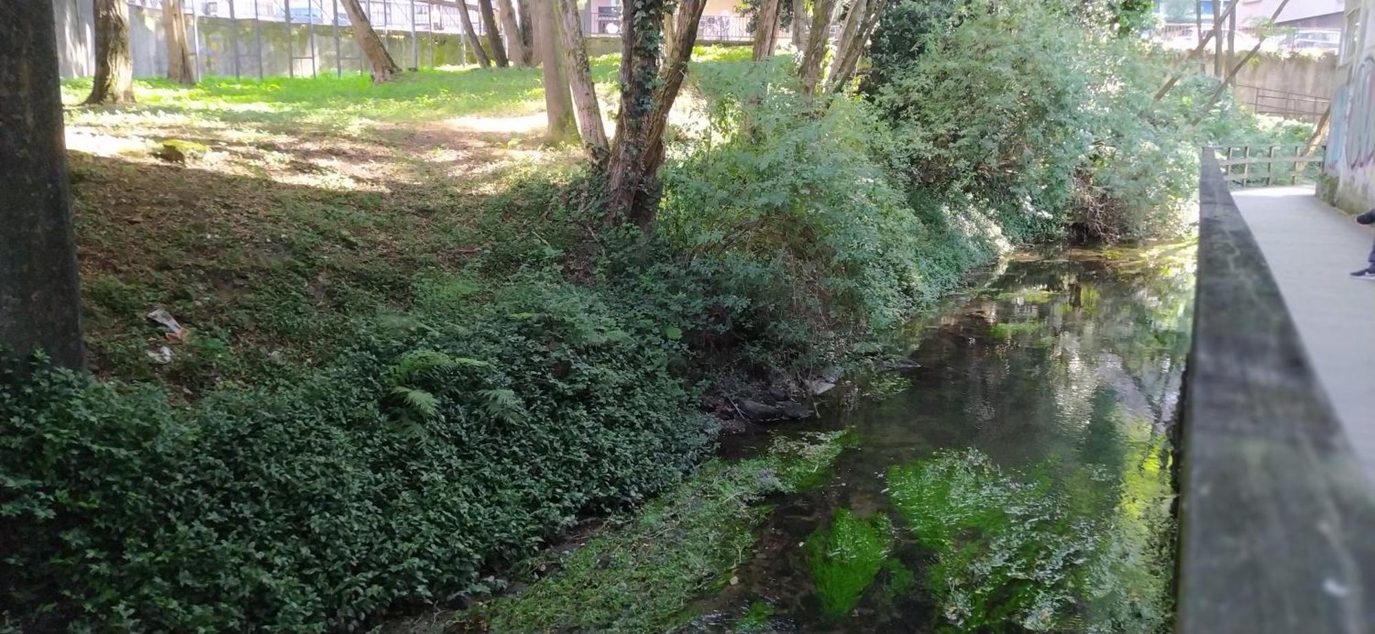 Moderno Y Luminoso 2 Dormitorios Con Todas Las Comodidades En Pontevedra Ciudad Exteriör bild